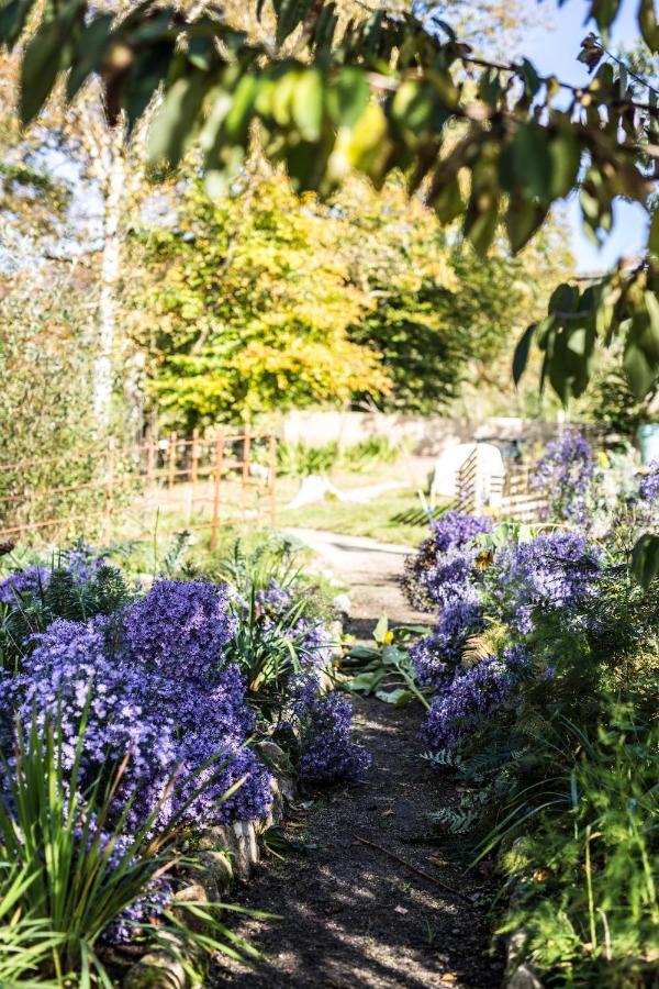 The Wicklow Escape (Adults Only) Donard Eksteriør bilde