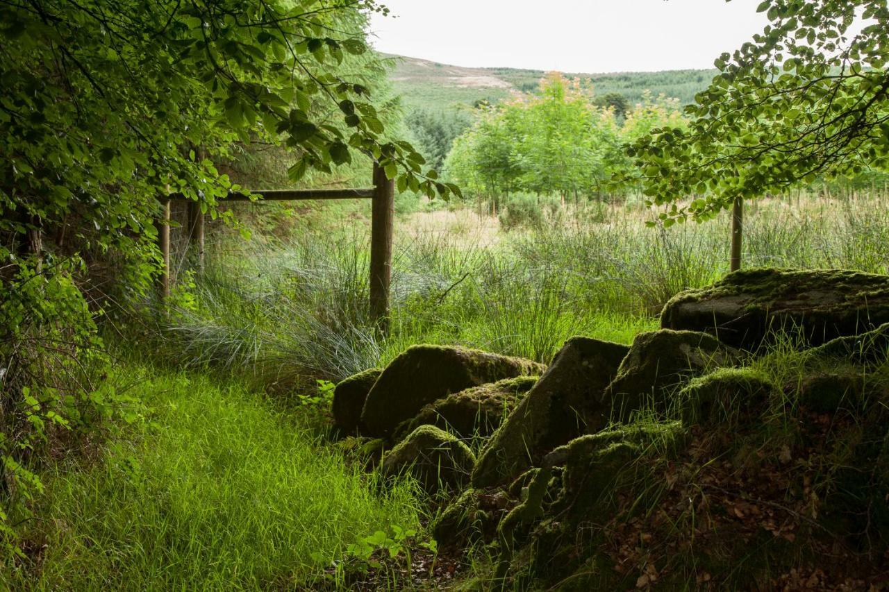 The Wicklow Escape (Adults Only) Donard Eksteriør bilde