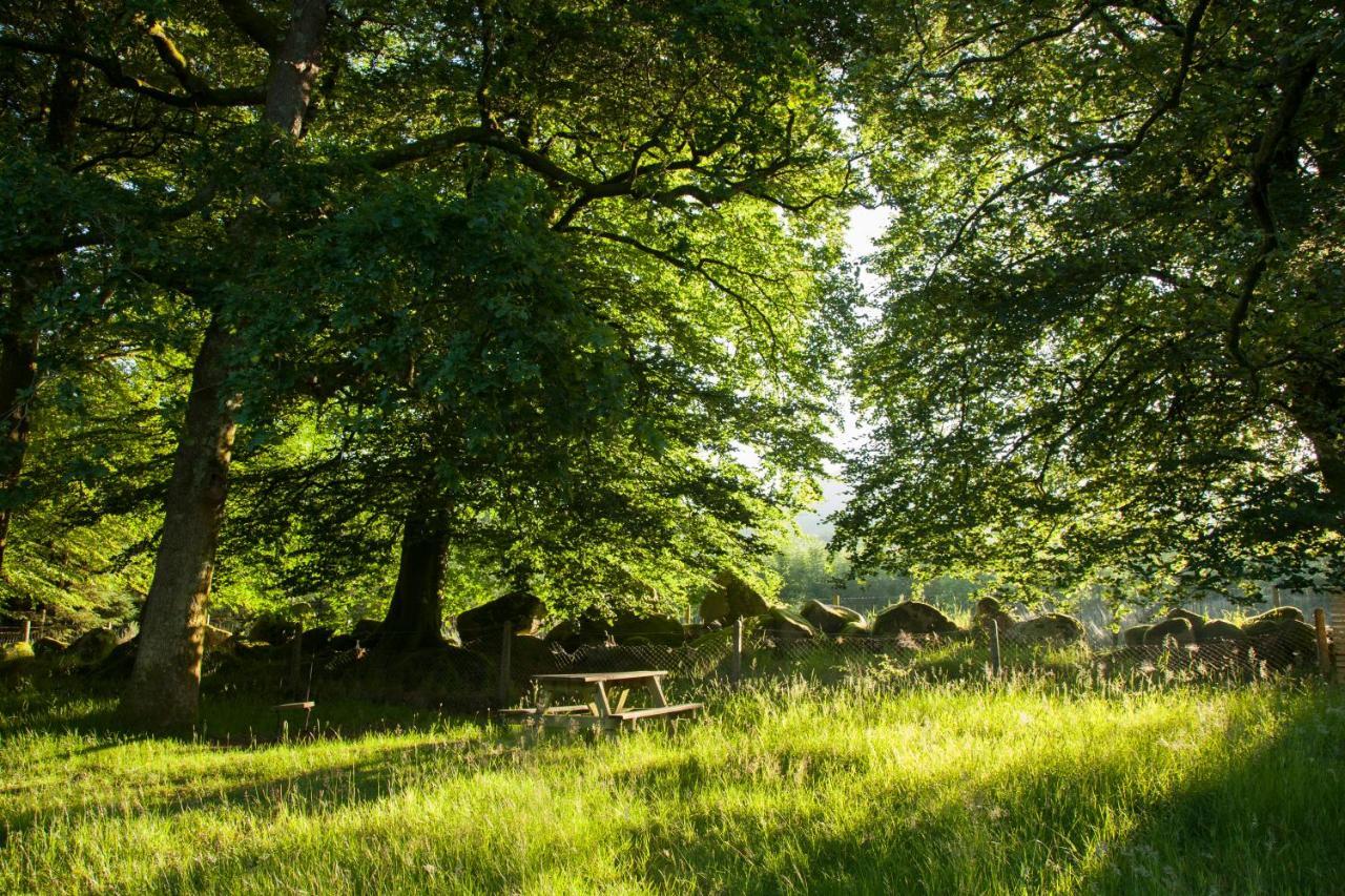 The Wicklow Escape (Adults Only) Donard Eksteriør bilde